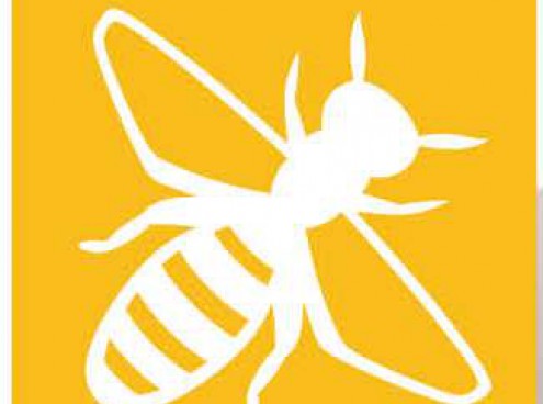 Apiamo: insieme per l'Ambiente