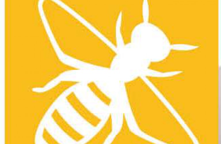 Apiamo: insieme per l'Ambiente