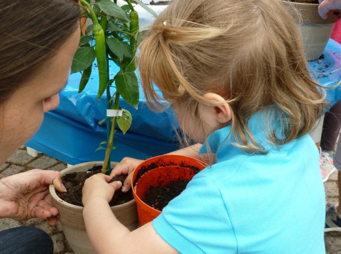 Festa della Mamma- 10 Maggio 2015