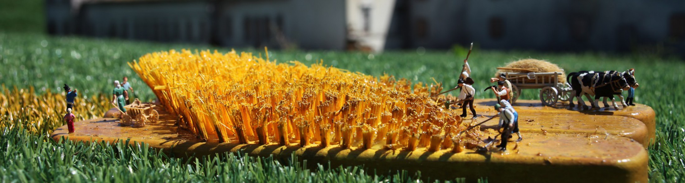 Che succede nel mondo in miniatura?