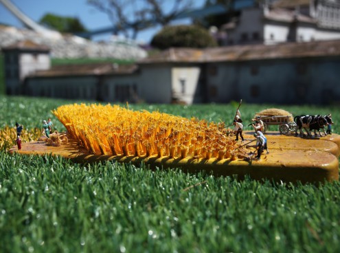 Che succede nel mondo in miniatura?