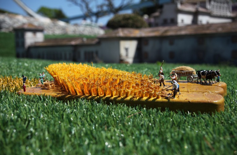 Che succede nel mondo in miniatura?