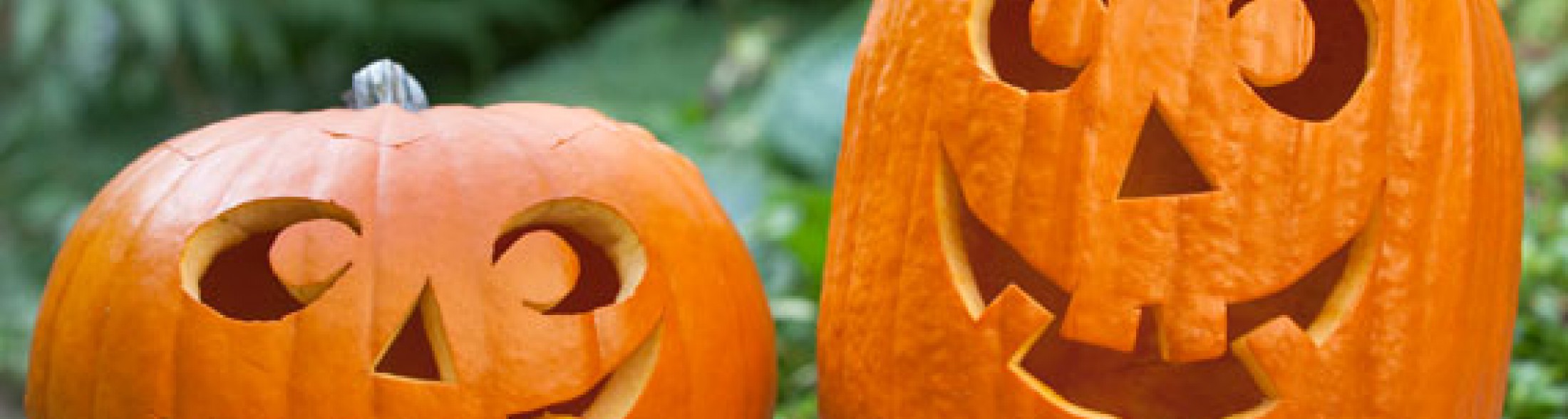 "Crea la tua zucca" insieme a noi, da domenica 15/10