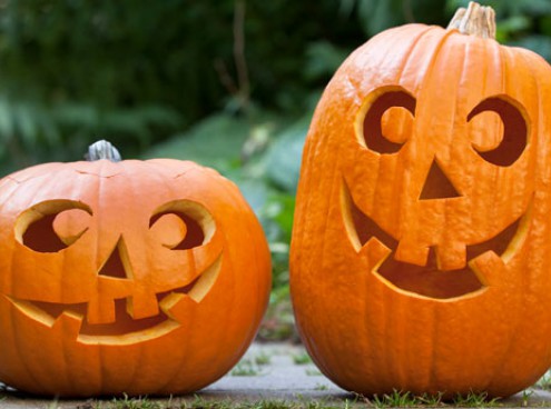 "Crea la tua zucca" insieme a noi, da domenica 15/10