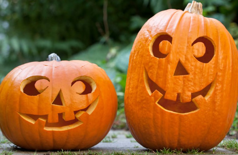 "Crea la tua zucca" insieme a noi, da domenica 15/10