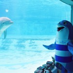 Parchi aperti fino all'Epifania