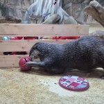 Parchi aperti fino all'Epifania