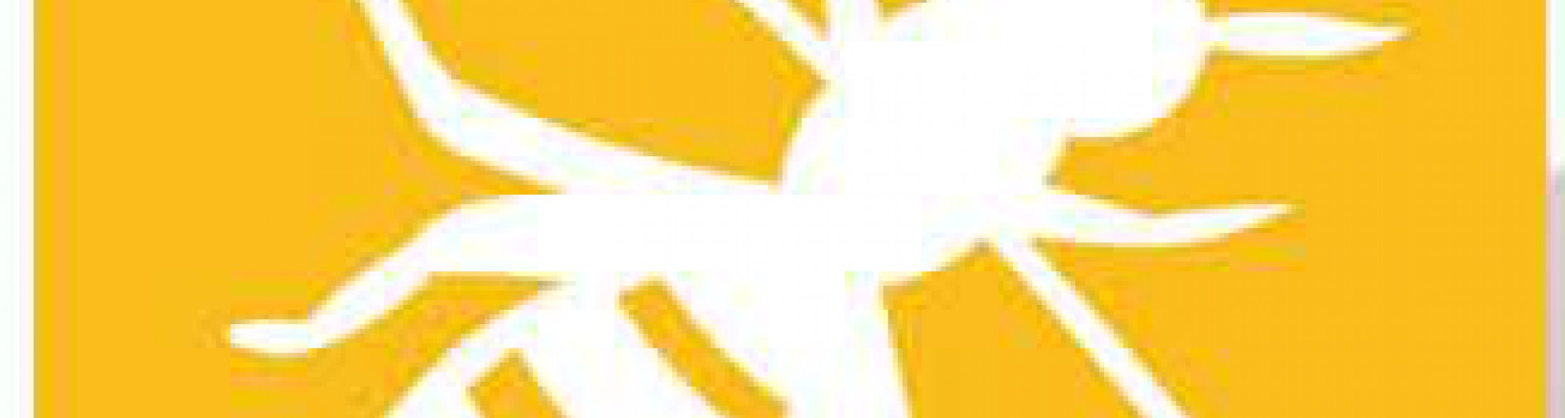 Apiamo: together for a better planet