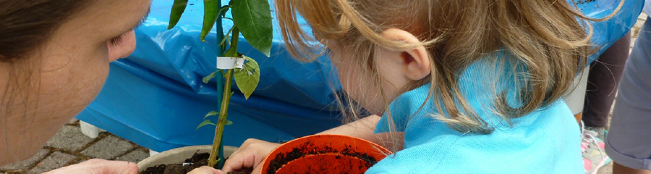 Mom's Day -May 10th 2015